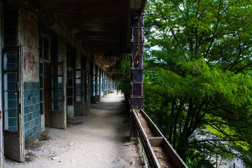 Abandoned Hospital
