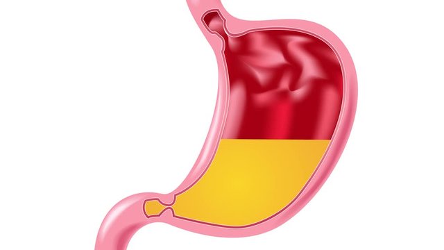 Stomach gas graphic : anatomy and organ / blue background