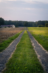 Country road towards buildings, green grass sunny day, lights and shadows