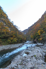 秋の清津川の風景