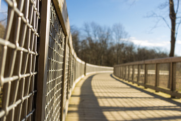 A Bridge in the Park