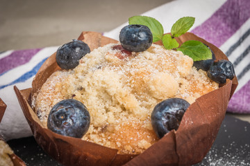 Samphire coastal vegetable over black background. Salicornia europaea.
