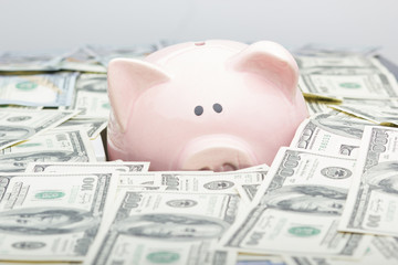 piggy bank and dollar cash money. business, finance, investment, saving and corruption concept