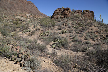 Gates Pass-Sonoran Desert