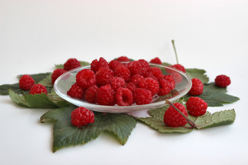 Red raspberries on green leaves