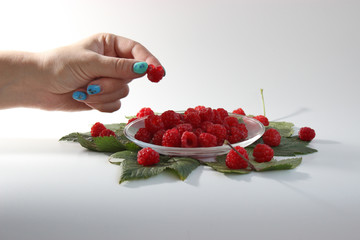 Red raspberry in hand