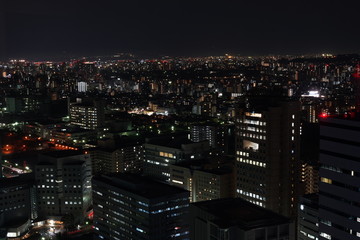 Fototapeta na wymiar 福岡タワーからの福岡市夜景