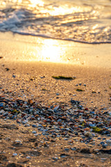 Colored shells in the surf with seaweed and sand at sunset
