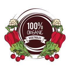 Organic vegetables icon vector illustration graphic design icon vector illustration graphic design