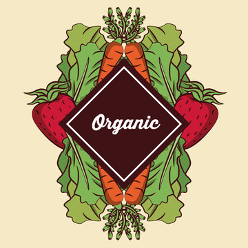 Organic vegetables icon vector illustration graphic design