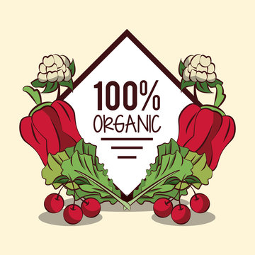 Organic vegetables icon vector illustration graphic design icon vector illustration graphic design
