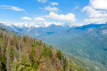 Fototapeta na wymiar The amazing view from Moro Rock to Sierra Nevada, Mount Whitney. Hiking in Sequoia National Park, California, USA