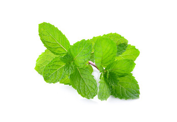 Mint leaves isolated on white background