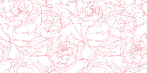 Fototapety  Seamless pattern, hand drawn outline pink Peony flowers on white background