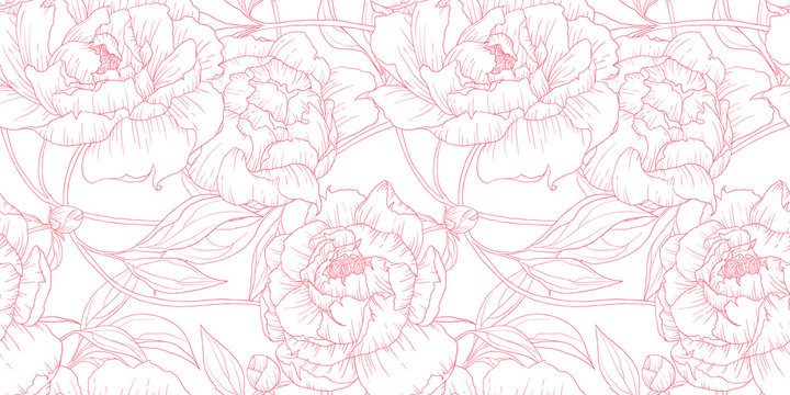 Seamless pattern, hand drawn outline pink Peony flowers on white background