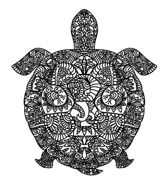 Patterned turtle on white