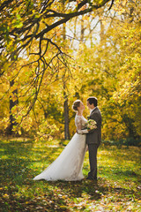 A beautiful portrait of the newlyweds on the background of the a