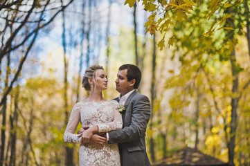 A beautiful portrait of the newlyweds on the background of the autumn f