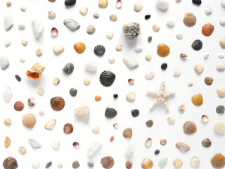 Pattern of shells and stones. Composition from seashells. Marine background. Top view, flat layout.
