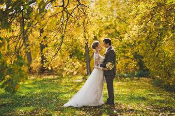 The bride and groom walking in the autumn forests paths 310.