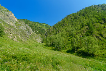 Fototapeta na wymiar Valley of Spirits in gorge Che-Chkysh, Yelanda. Altai Republic, Russia