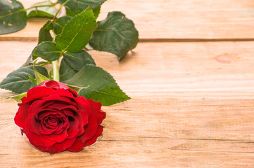 Red rose on wooden background for valentine's day and womens's day greeting card