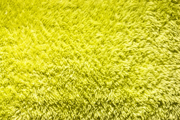 Bright green plush or wool texture