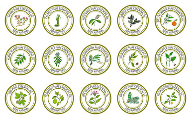 Set of essential oil labels