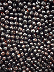 Black berry texture (pattern)