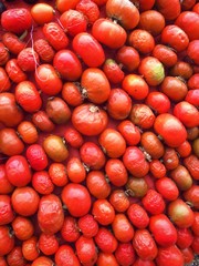 Red (tomatoes/pumpkin) at the composition on the wall