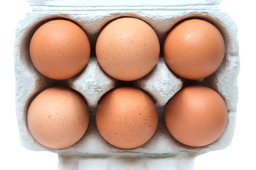 Six eggs in cardboard box.