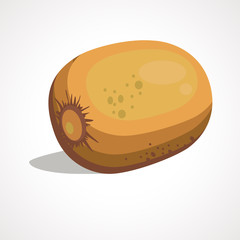 Cartoon illustration of kiwi