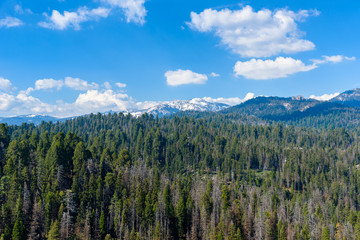 View from the Moro Rock - Hiking in Sequoia National Park, California, USA