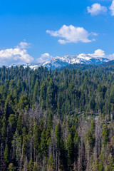 View from the Moro Rock - Hiking in Sequoia National Park, California, USA