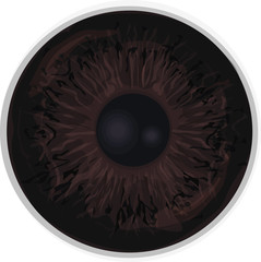 Eye iris -  Realistic vector  - Eye iris vector texture - Dark Brown,