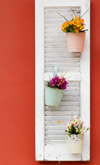 Fototapeta premium Flower pots on white wooden window on an orange wall