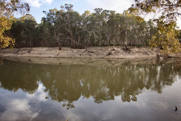 Murray River in the morning
