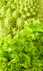 isolated image of cabbage close-up