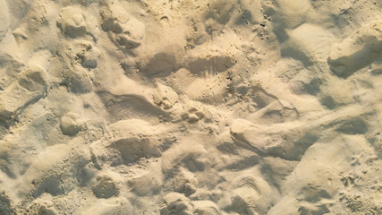Thailand Beach Sand Sunny Day