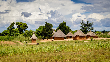 Typical Uganda huts. Most of the inhabitants live in thatched huts with mud and wattle walls....