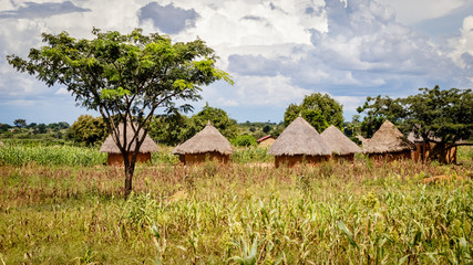 Typical Uganda huts. Most of the inhabitants live in thatched huts with mud and wattle walls....