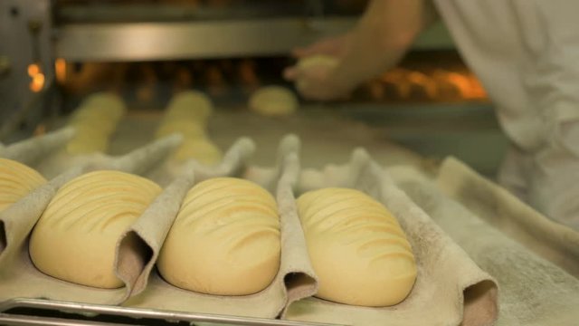 Manufacture of bakery products. Bakery, bread baking.