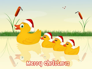 couple of bodybuilder