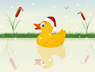 chick with Christmas hat © adrenalinapura