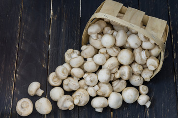 A basket of scattered white mushrooms. White mushrooms on a black background. Champignons. Top view.