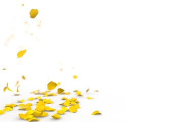 Yellow rose petals fall to the floor