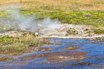 hot spring in Haukadalur geyser valley