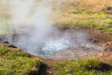 Fototapeta na wymiar little geyser in Haukadalur valley in Iceland