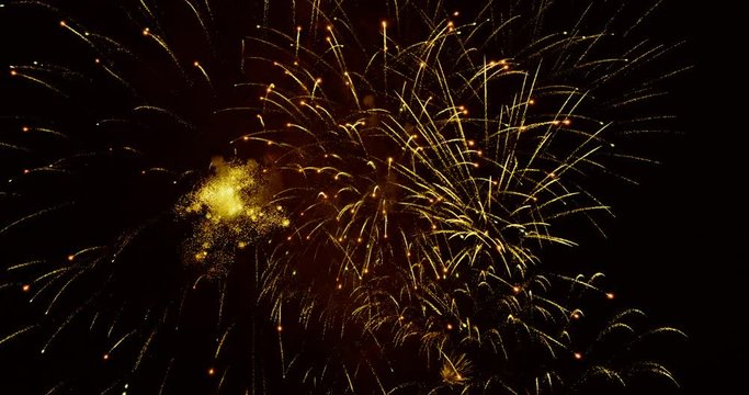 Glamorous fireworks in the night sky - ProRes
