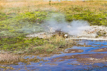 thermal spring in Haukadalur geyser valley